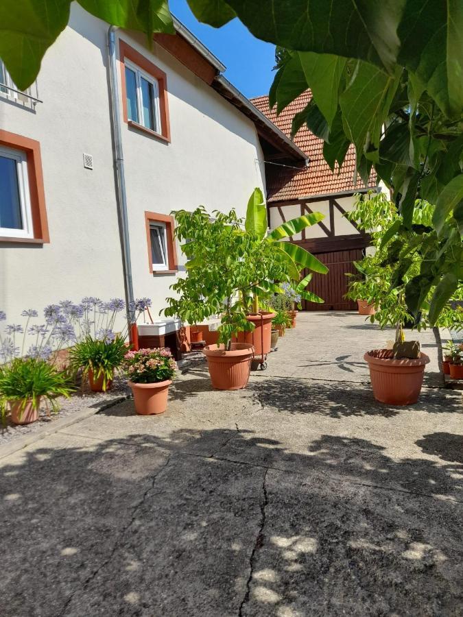 Ferienwohnung "Zum Alten Kuhstall" Oberhausen  Exteriér fotografie
