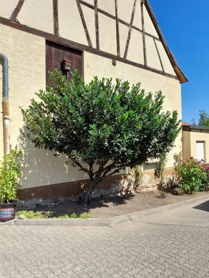 Ferienwohnung "Zum Alten Kuhstall" Oberhausen  Exteriér fotografie