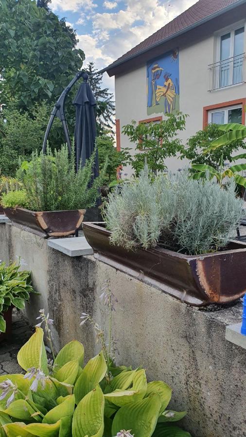 Ferienwohnung "Zum Alten Kuhstall" Oberhausen  Exteriér fotografie